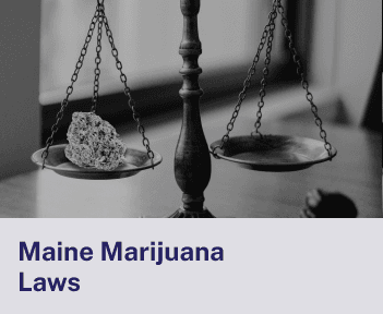 Maine Marijuana Laws