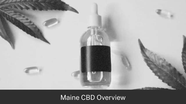 Maine CBD