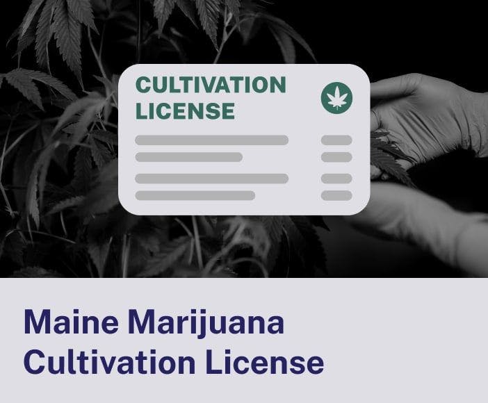 Maine Marijuana Cultivation License