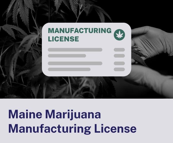 Maine Marijuana Manufacturing License