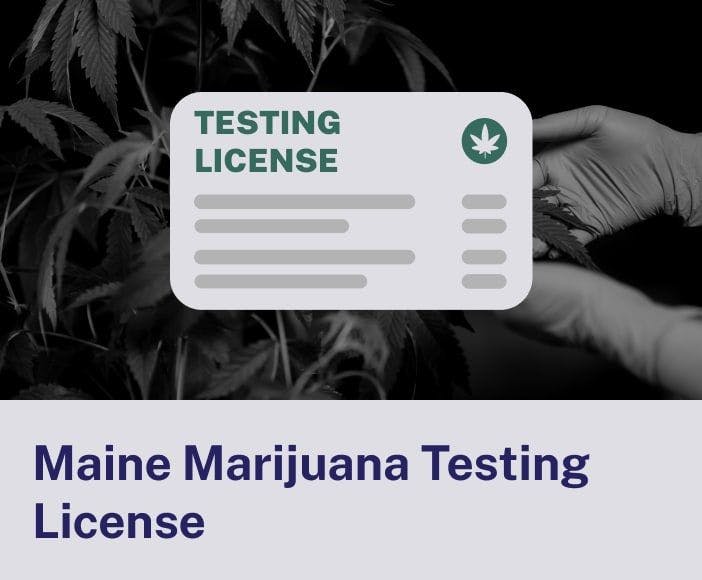Maine Marijuana Testing License