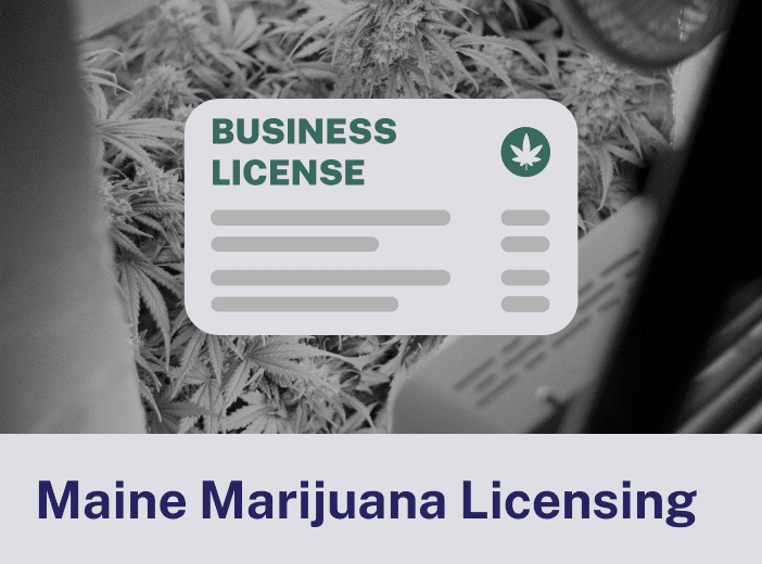 Maine Marijuana Licensing