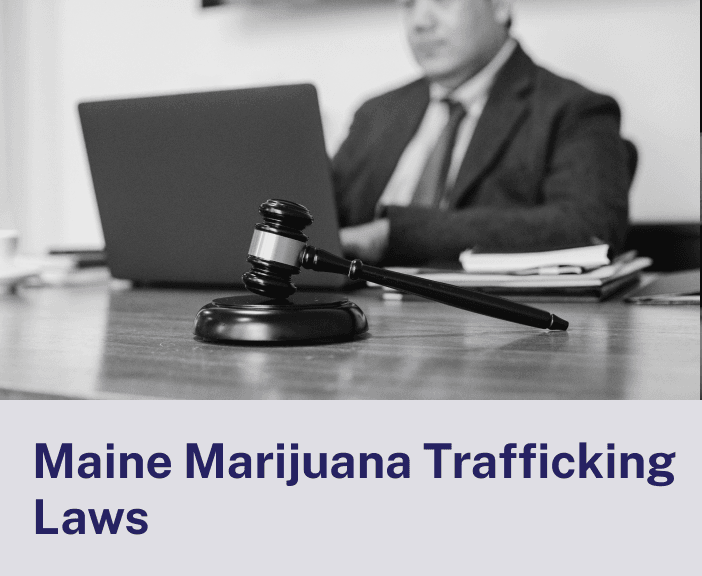 Maine Marijuana Trafficking Laws