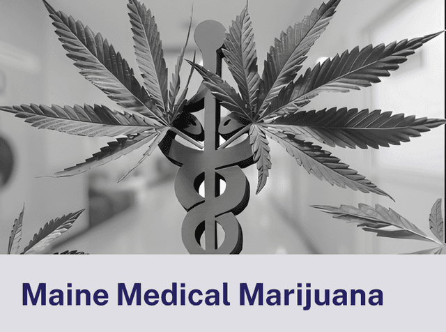 Maine Medical.png